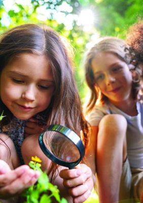 Agrandir l'image, fenêtre modale