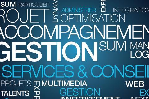nuage de mots: accompagnement, gestion, services et conseil, projet, optimisation...